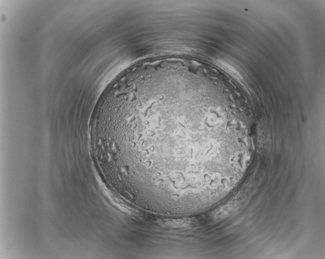 X0000060781047200511241814