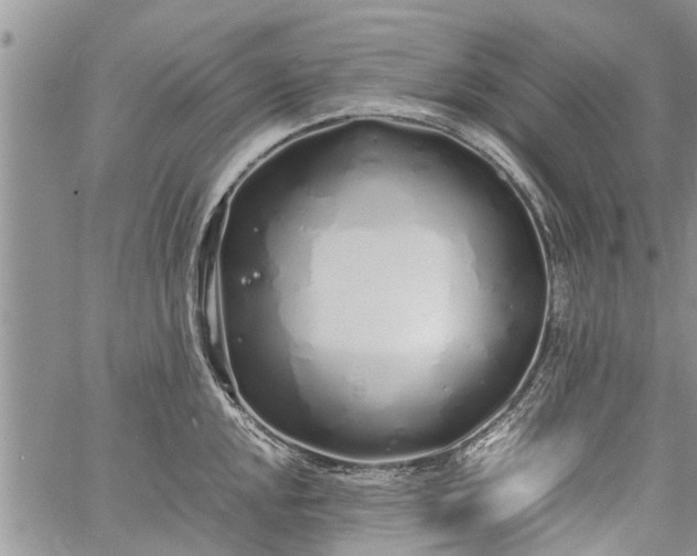 X0000060781048200511241814