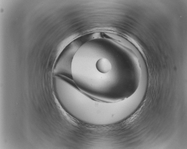 X0000060781050200511241814