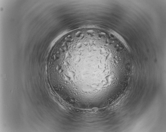 X0000060781051200511241814