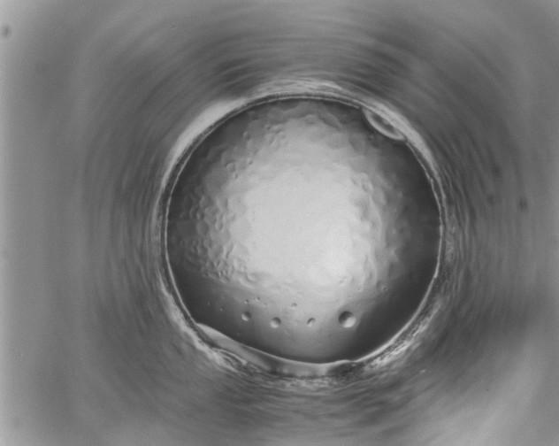 X0000060781053200511241814