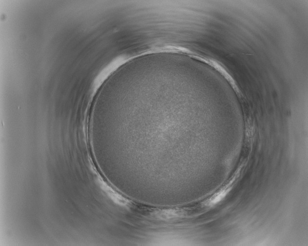 X0000060781054200511241814