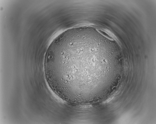 X0000060781055200511241814