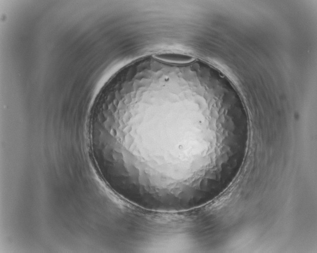 X0000060781056200511241814