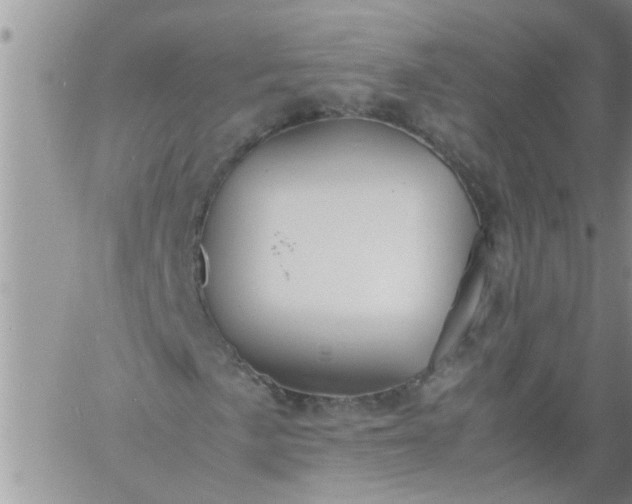 X0000060781057200511241814