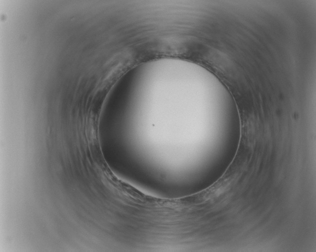 X0000060781058200511241814