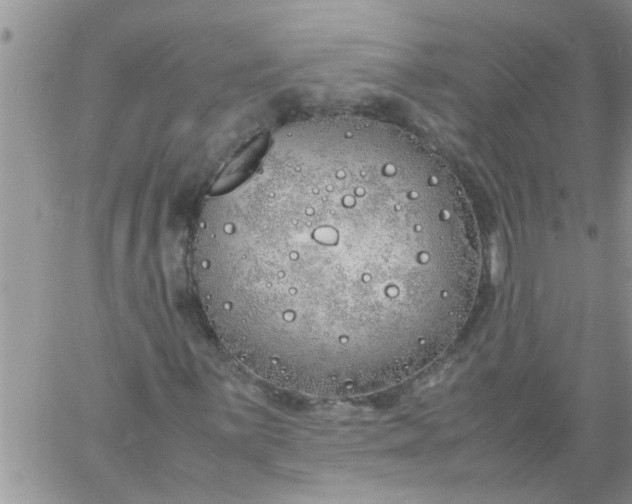 X0000060781059200511241814