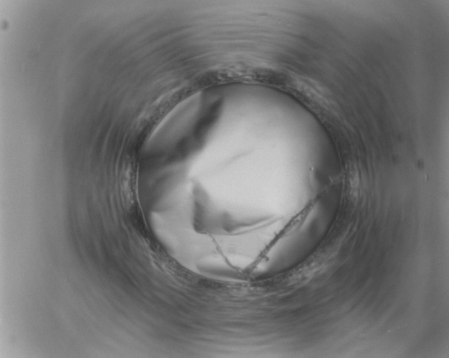 X0000060781060200511241814