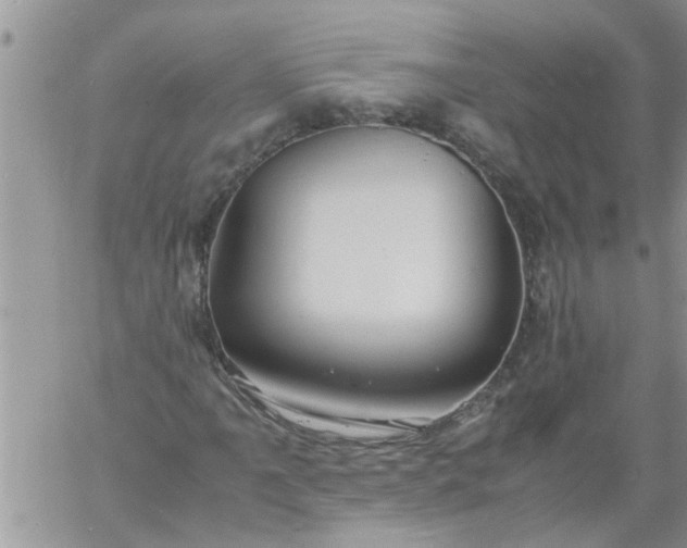 X0000060781061200511241814