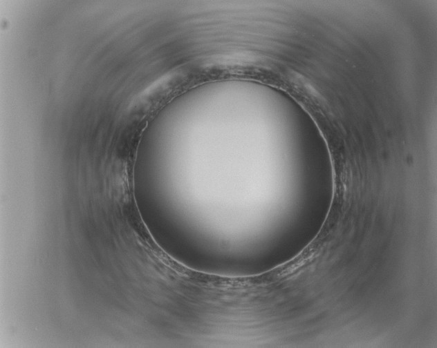 X0000060781062200511241814