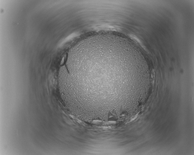 X0000060781063200511241814