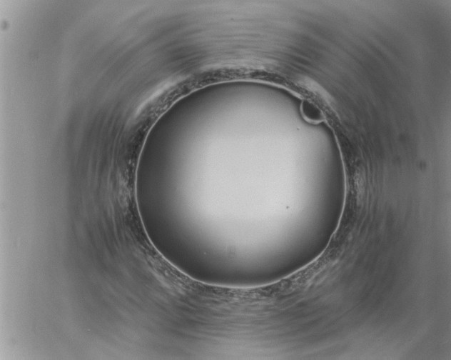 X0000060781064200511241814