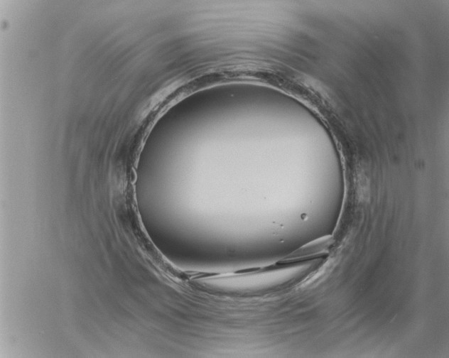 X0000060781065200511241814