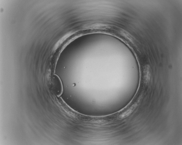 X0000060781066200511241814