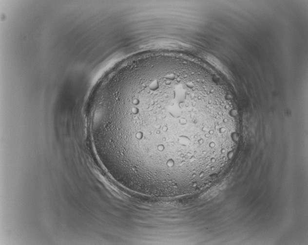 X0000060781067200511241814