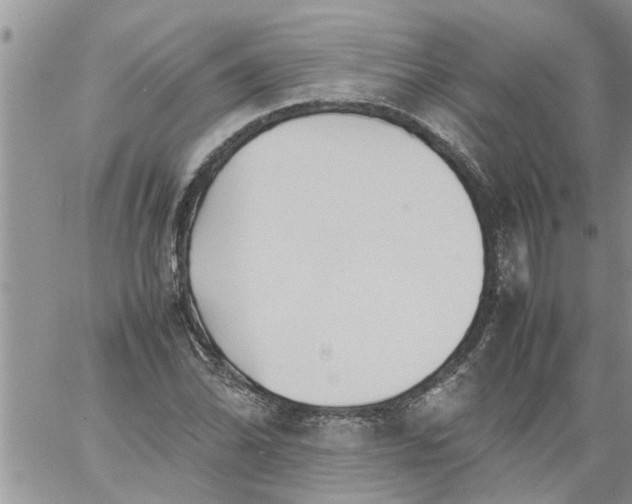 X0000060781070200511241813