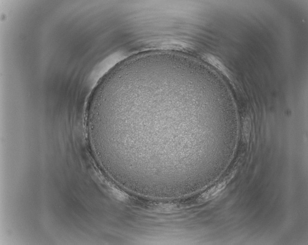 X0000060781071200511241813