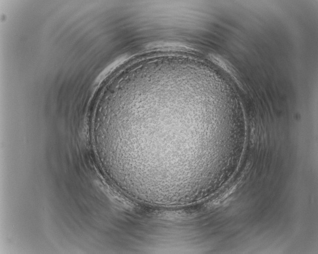 X0000060781074200511241813