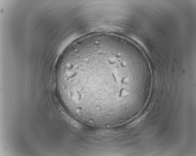 X0000060781075200511241813