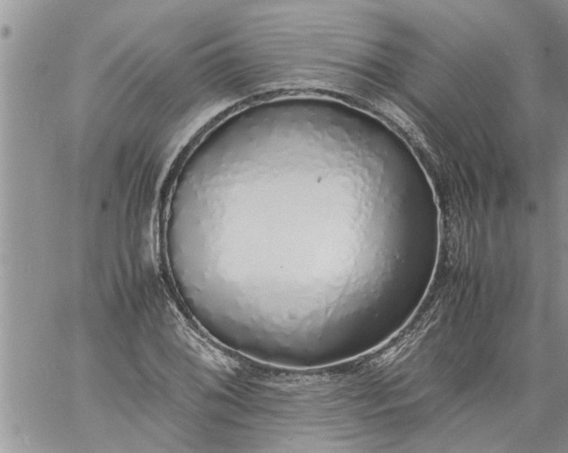 X0000060781076200511241813