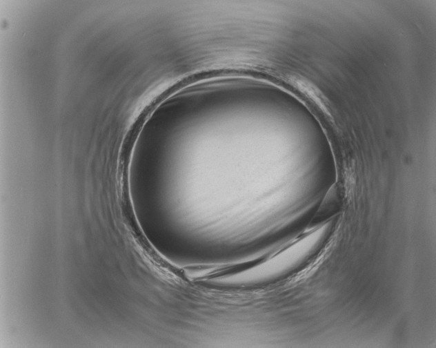 X0000060781077200511241813