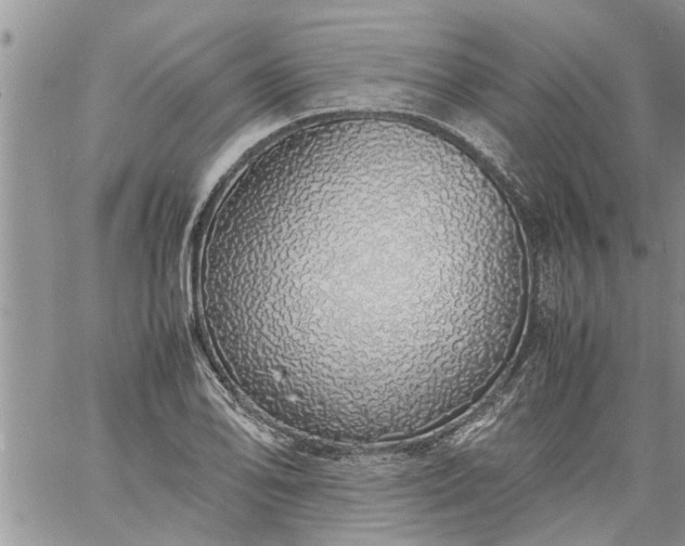 X0000060781078200511241813