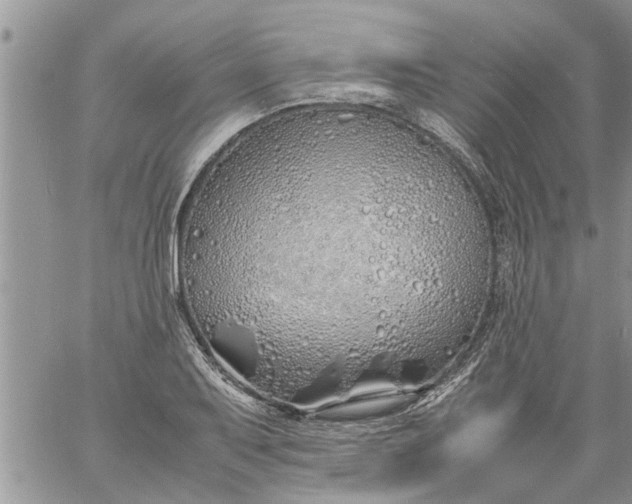 X0000060781079200511241813