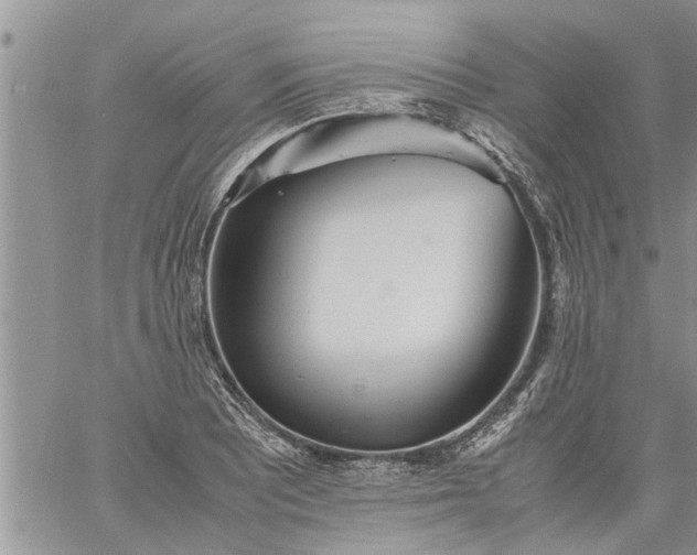 X0000060781081200511241813