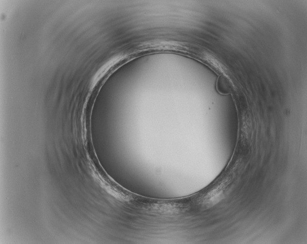 X0000060781082200511241813