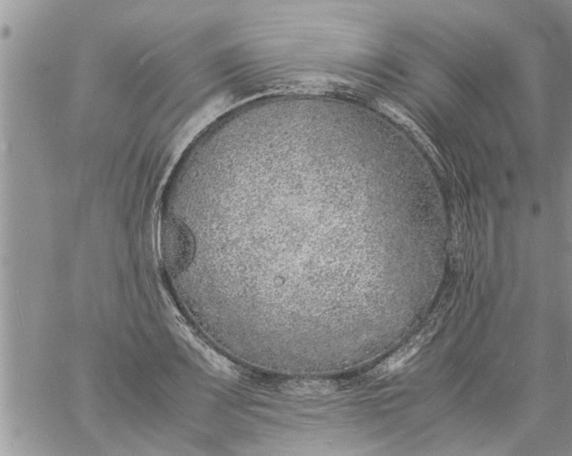 X0000060781083200511241813