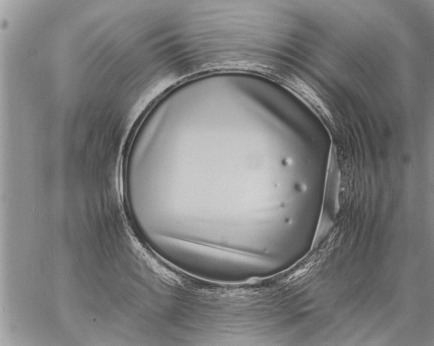 X0000060781084200511241813