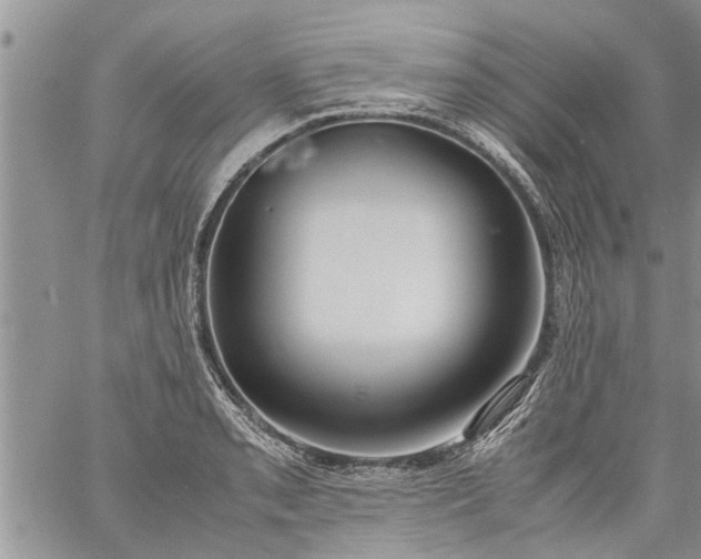 X0000060781085200511241813