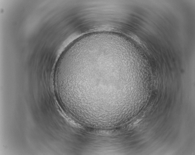 X0000060781086200511241813