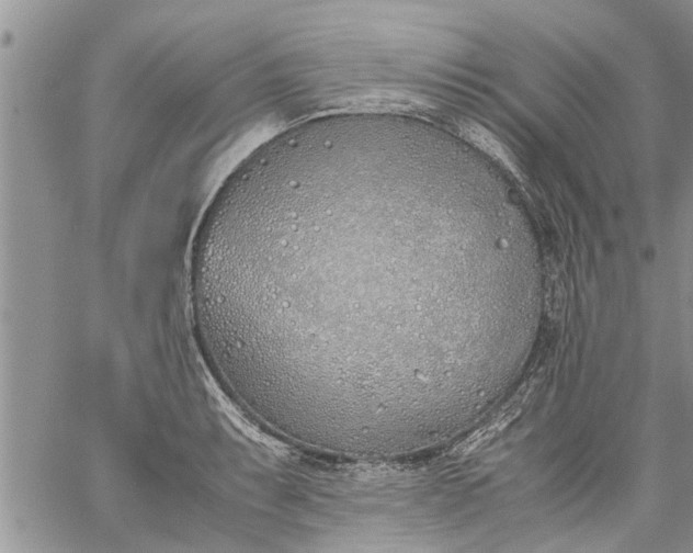 X0000060781087200511241813