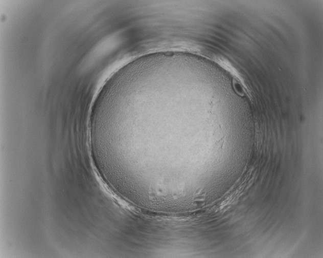 X0000060781088200511241813