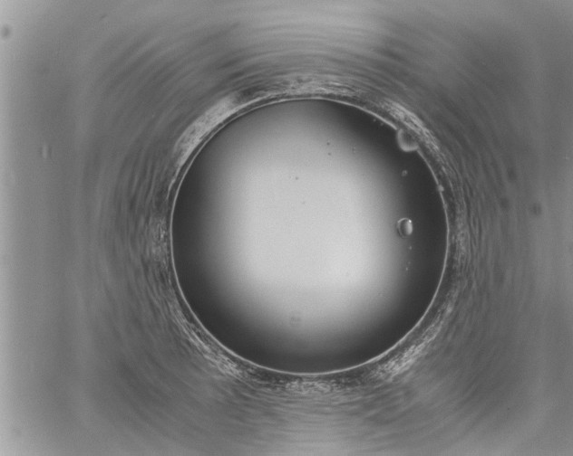 X0000060781089200511241813