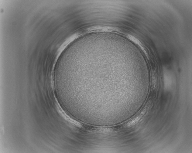 X0000060781090200511241813