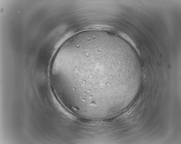 X0000060781091200511241813