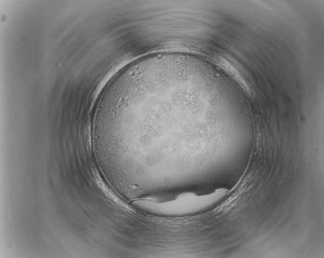 X0000060781092200511241813