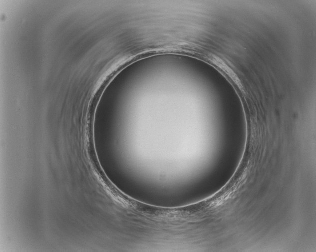 X0000060781093200511241813