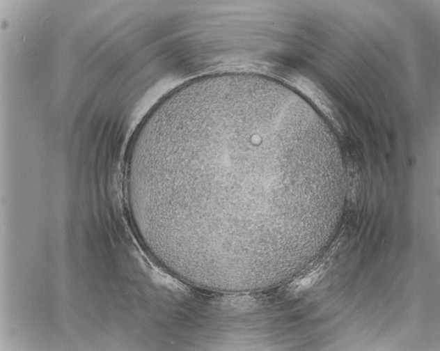 X0000060781094200511241813