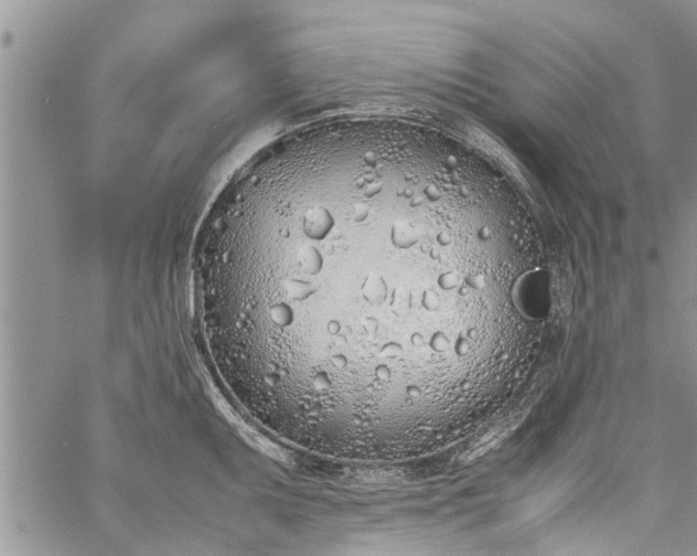 X0000060781095200511241813