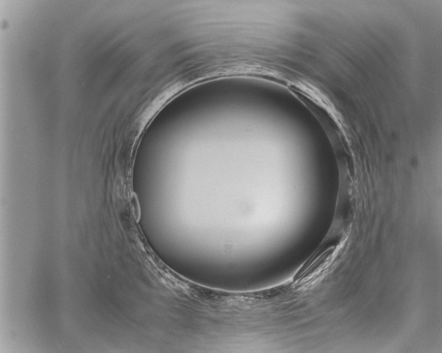 X0000060781097200511241813