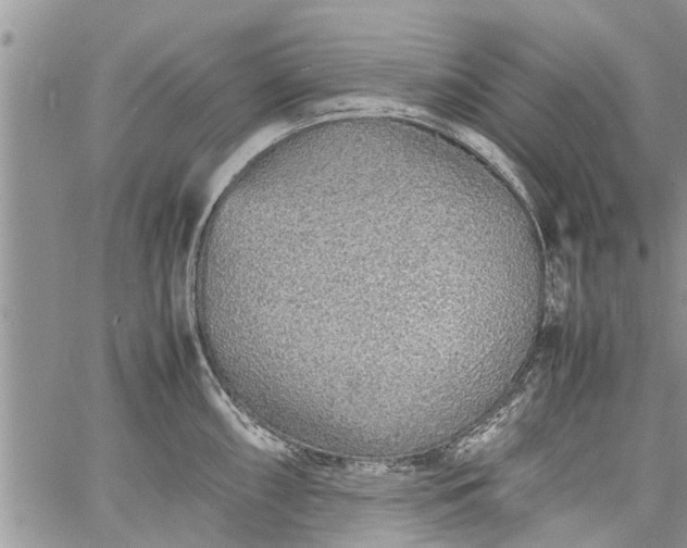 X0000060781098200511241813