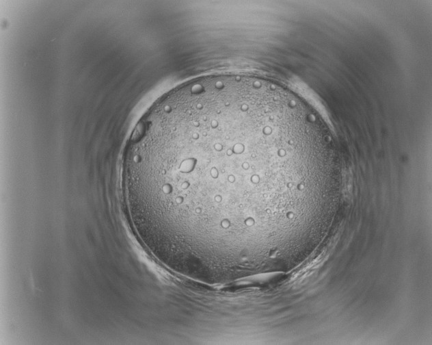 X0000060781099200511241813