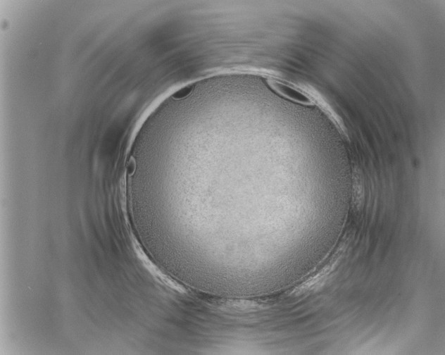 X0000060781100200511241813