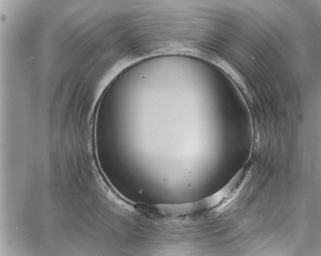 X0000060781102200511241813