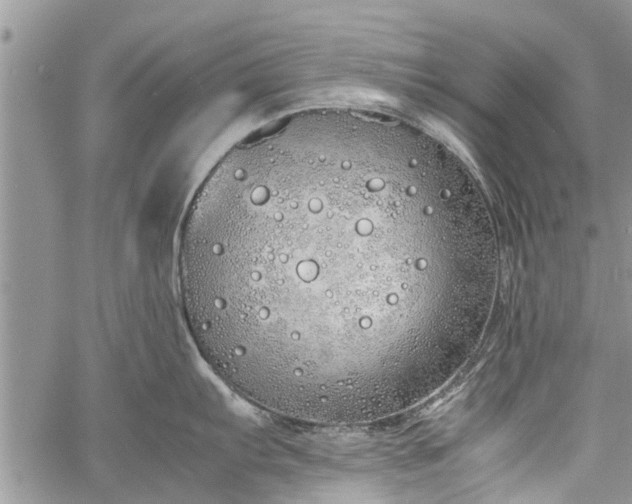 X0000060781103200511241813