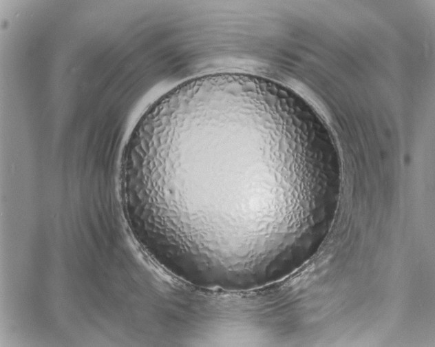 X0000060781104200511241813