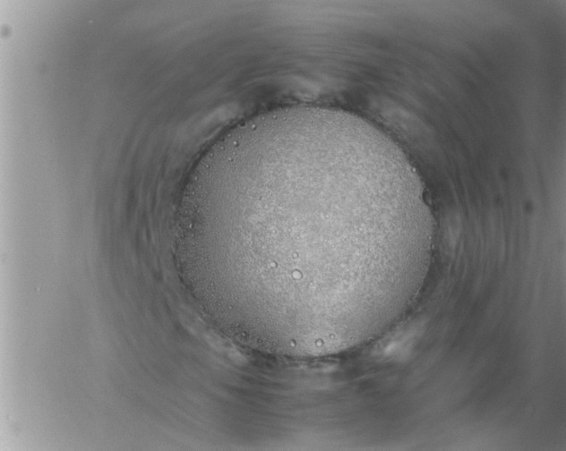 X0000060781105200511241812